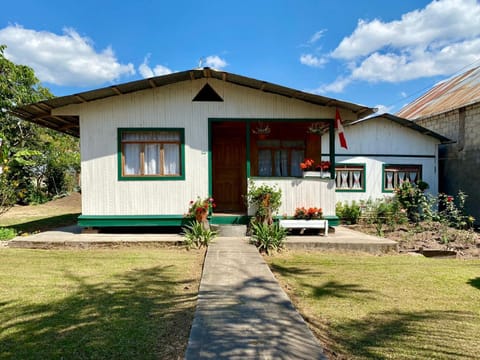 Day, Garden, Garden view