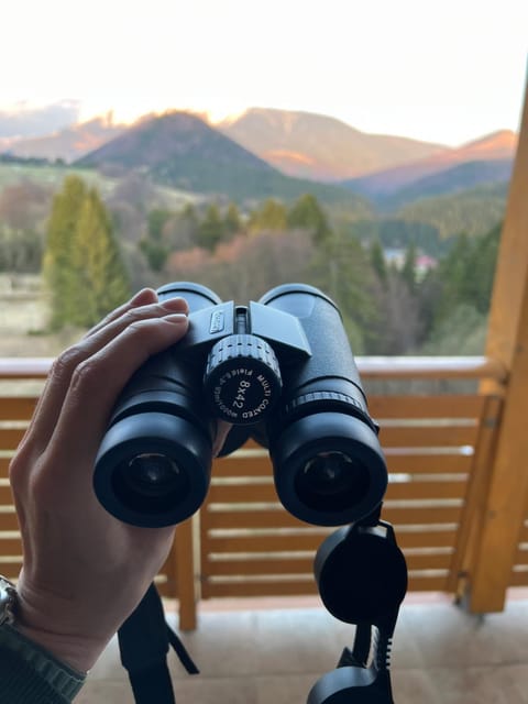Mountain view