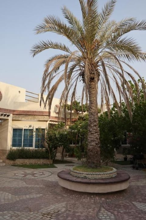 Emirati Stay Comfort & Local Charm Villas - 3 Villa in Al Sharjah
