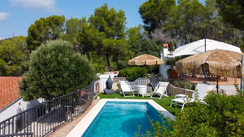 Patio, Spring, Day, Natural landscape, Garden, Garden view, Pool view, Swimming pool, sunbed