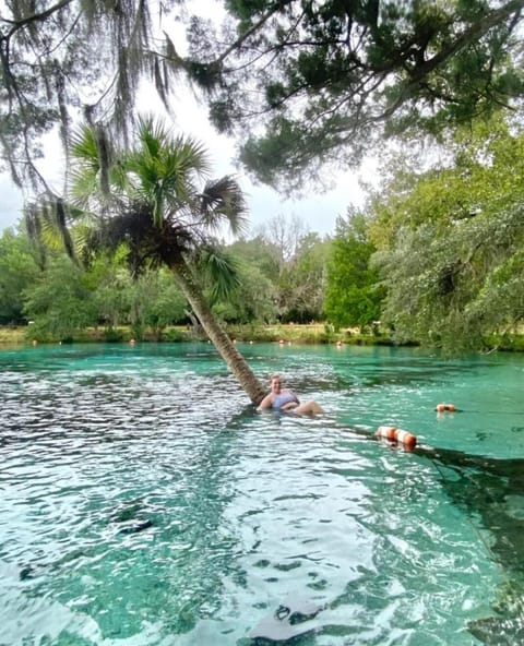 Welcome to Ocala House in Florida