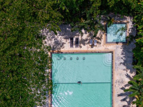 Day, Natural landscape, Bird's eye view, Pool view, Swimming pool