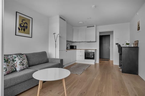 Kitchen or kitchenette, Living room, Seating area, oven, stove