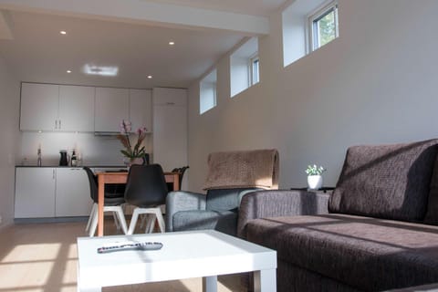 Arctic View 2-Bedroom Apartment Apartment in Tromso