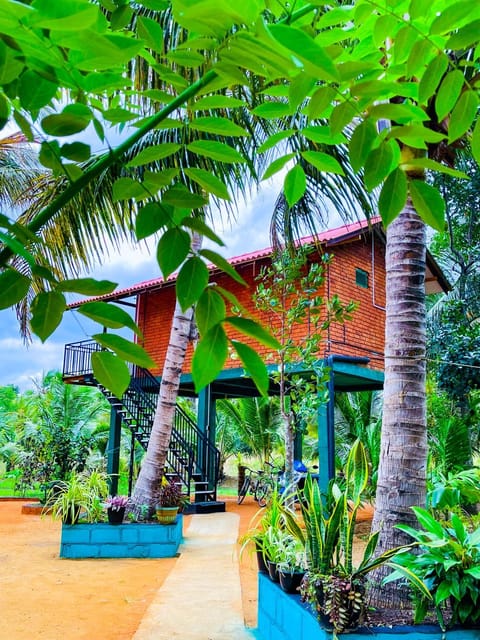 Property building, Spring, Day, Natural landscape, Garden, Garden view