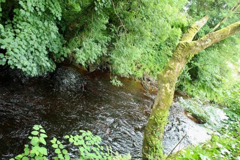 Riverside Haven in Ardara Apartment in County Donegal