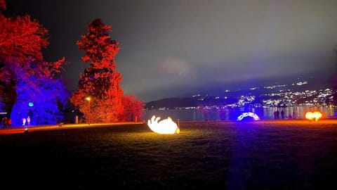 Spacious apartment with lake view and garden Apartment in Zug, Switzerland