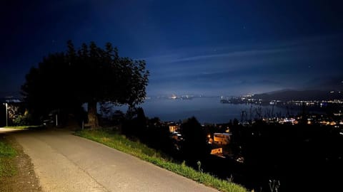 Spacious apartment with lake view and garden Apartment in Zug, Switzerland