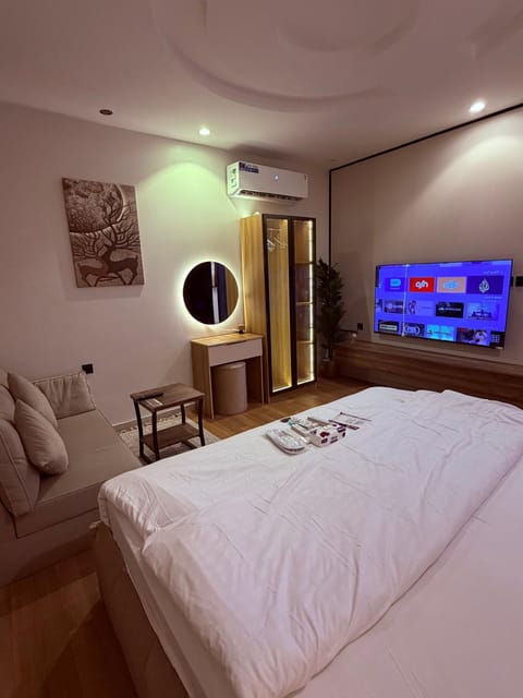 Bed, TV and multimedia, Living room, Photo of the whole room, Seating area, Bedroom, air conditioner