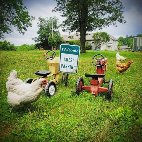 Farmhouse of Stoneycreek Acres on Our Family Farm House in Newbury Township