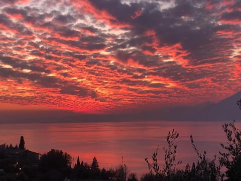 Natural landscape, Sunset