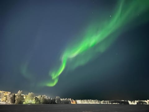 Northern lights city apartment Apartment in Rovaniemi