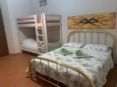 Bed, Photo of the whole room, Bedroom, bunk bed