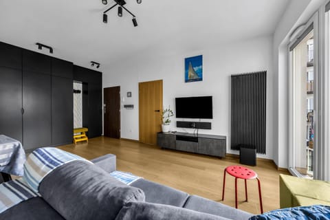 Communal lounge/ TV room, TV and multimedia, Kitchen or kitchenette, Living room, Seating area, wardrobe
