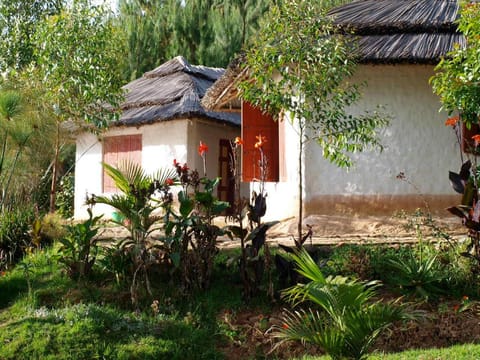 Property building, Garden view
