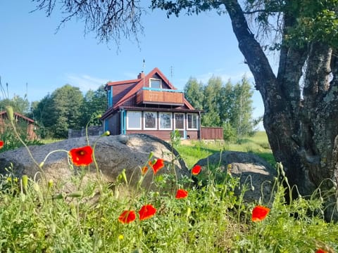 Property building, Spring