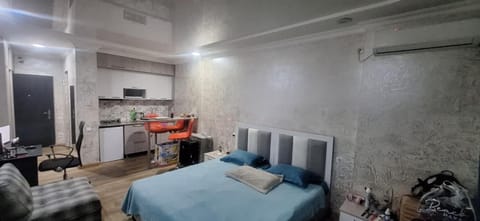 Bed, Kitchen or kitchenette, Living room, Photo of the whole room, Seating area, Dining area, Bedroom, minibar, oven, pet friendly, stove