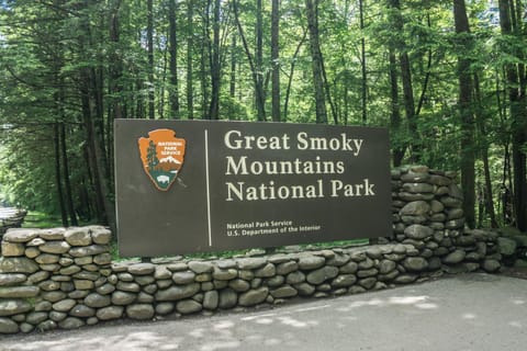 Smoky Mountain Lodge by American Patriot Getaways House in Gatlinburg