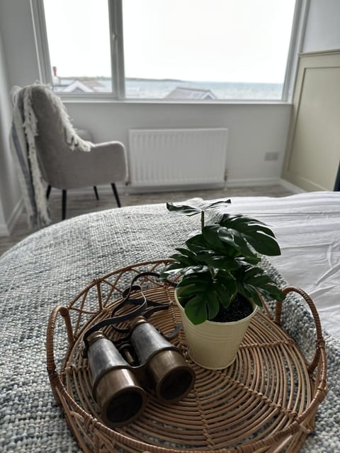 The Boat Cottage - private beach access House in Northern Ireland