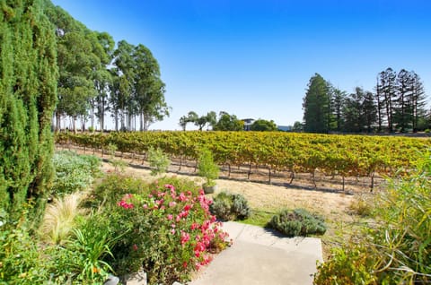 Spring, Day, Natural landscape, Garden, Garden view