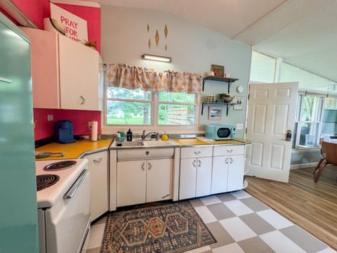 Mid-Century Modern Themed Home with Outdoor Hot Tub House in Vermilion