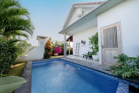 Garden, Pool view, Swimming pool
