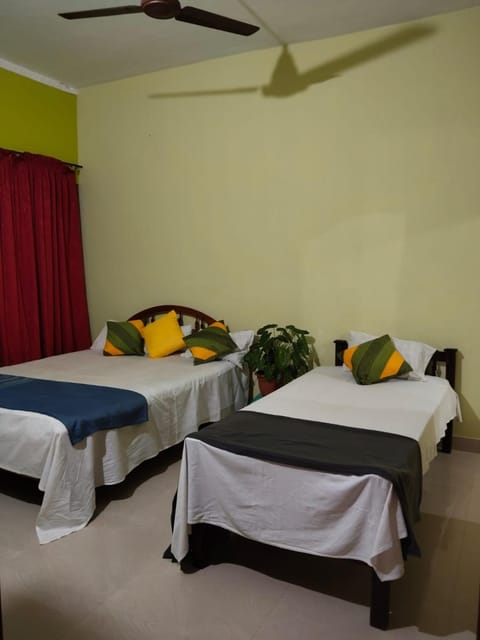 Bed