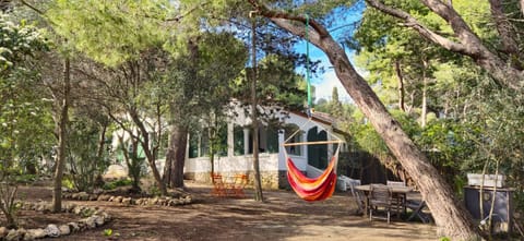 Natural landscape, Garden, Garden view