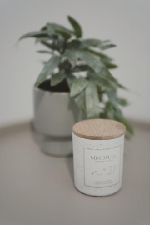 Ξενώνας OLEAVIA Bed and Breakfast in Messenia