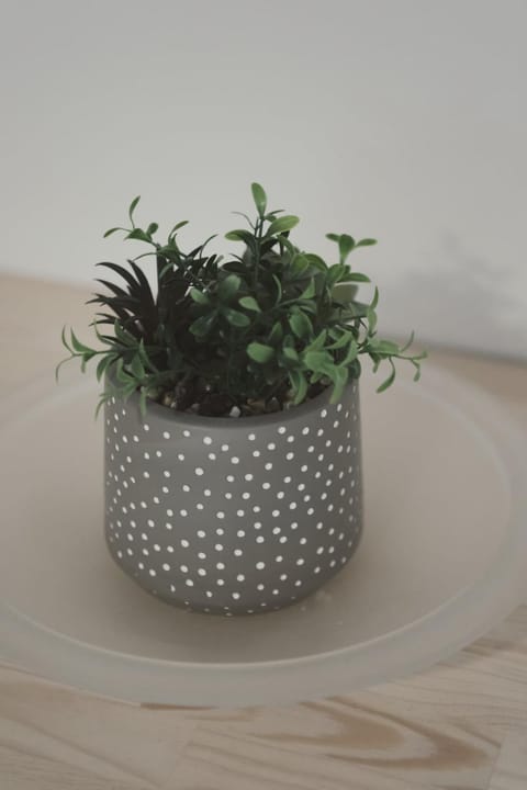 Ξενώνας OLEAVIA Bed and Breakfast in Messenia