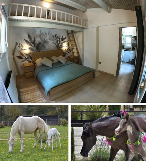 Property building, Horse-riding, Photo of the whole room, Bedroom, heating