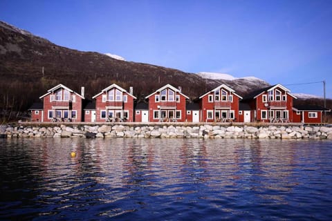 Property building, Day