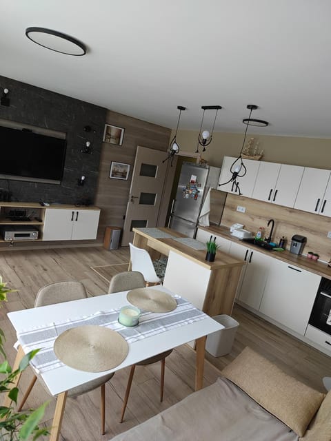 TV and multimedia, Kitchen or kitchenette, Living room, Seating area, Dining area, dishwasher, oven, pet friendly, stove