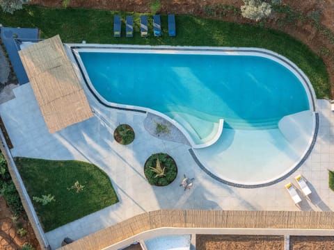 Day, Garden, Garden view, Pool view, Swimming pool, sunbed