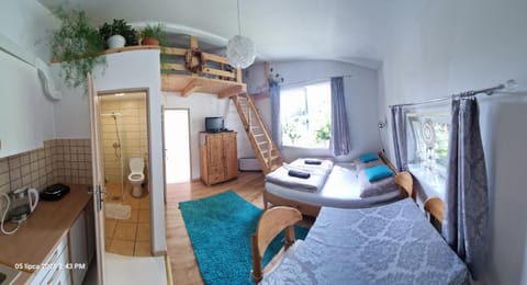Bed, TV and multimedia, Kitchen or kitchenette, Living room, Photo of the whole room, Seating area, Dining area, oven