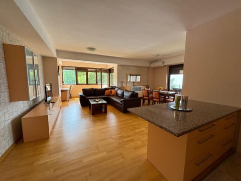 Kitchen or kitchenette, Living room, Seating area, Dining area