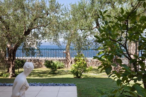 Patio, Garden, Garden view