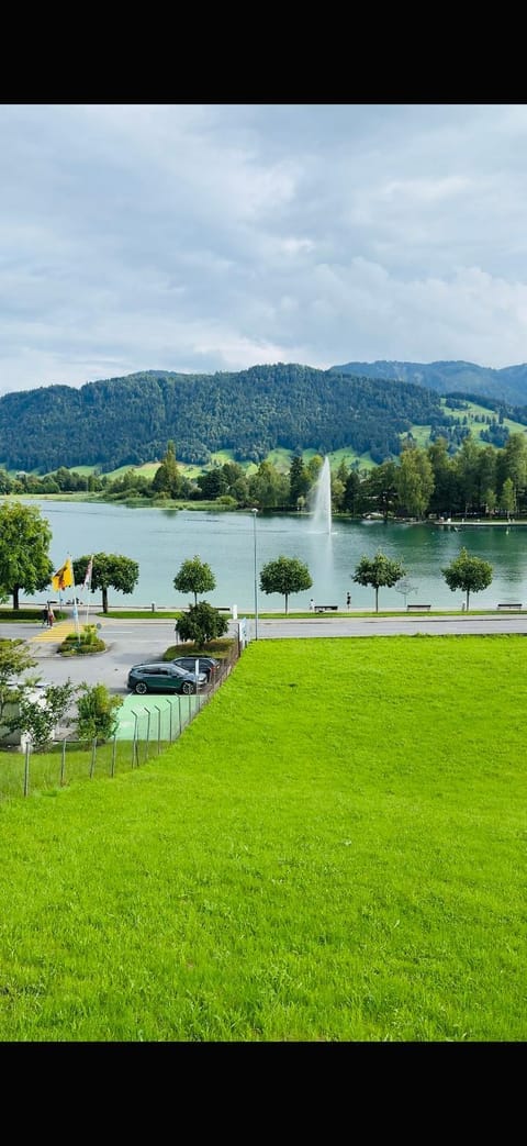 Lake view
