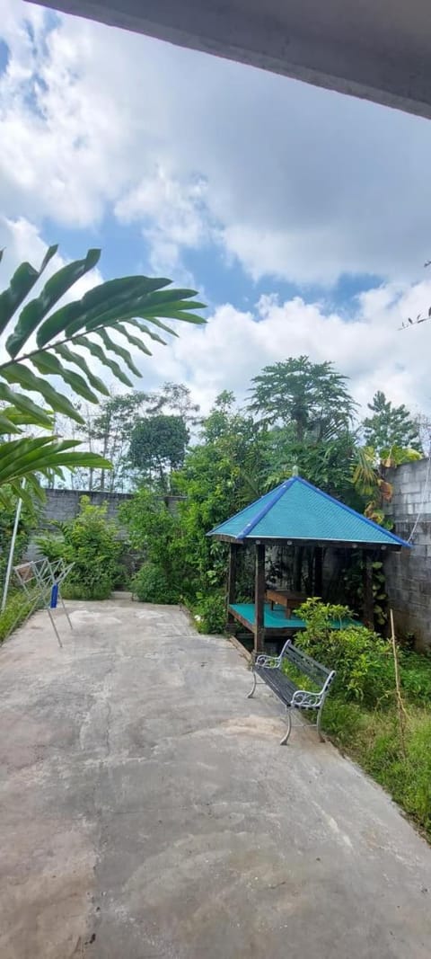 Day, Garden, Garden view