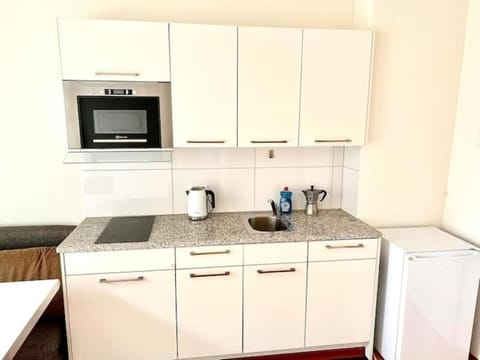 Central Zurich Flats with Balcony Hilda Self CheckIn Apartment in Zurich City