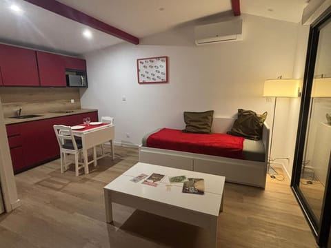 Photo of the whole room, pet friendly, air conditioner
