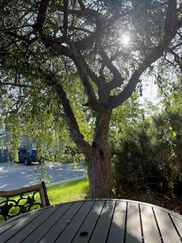 Spring, Day, Natural landscape, Garden, Balcony/Terrace