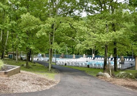Natural landscape, Pool view, Swimming pool
