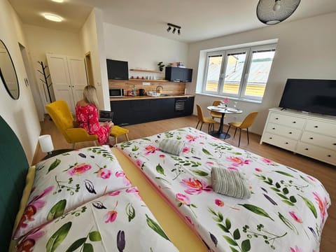 Communal lounge/ TV room, TV and multimedia, Kitchen or kitchenette, Living room, Photo of the whole room, Seating area, Dining area, Bedroom