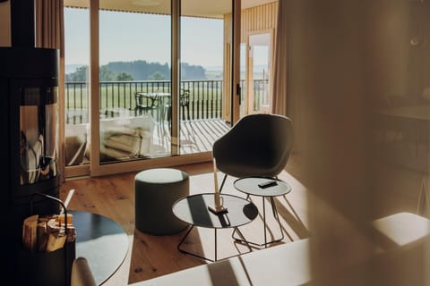 Sauna, View (from property/room), Living room, Mountain view, fireplace, oven