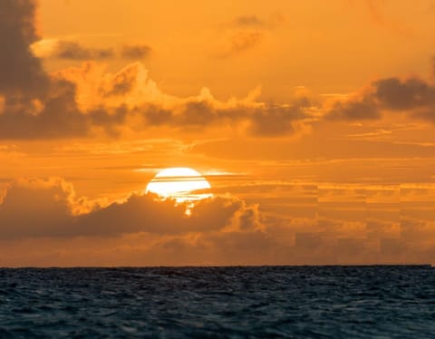 Natural landscape, Sunrise, Sunset