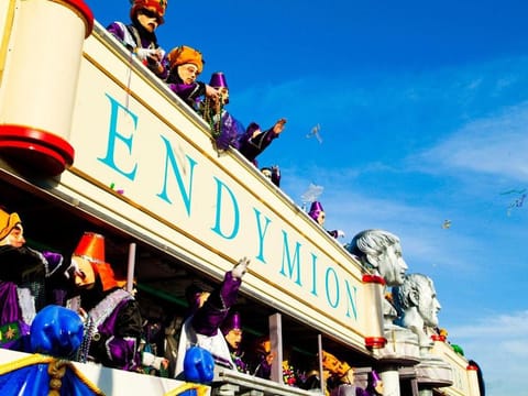 Creole Nest 2 Apartment in French Quarter