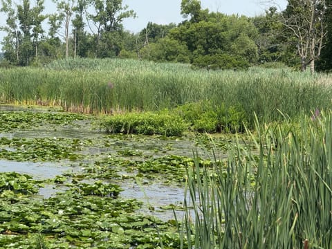 E&S Lake House Retreate&S Lake House Retreat House in Lake Erie