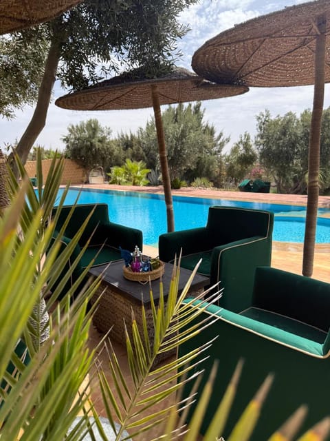 Patio, Day, Natural landscape, Garden view, Swimming pool, sunbed