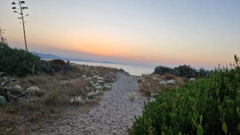Sea view